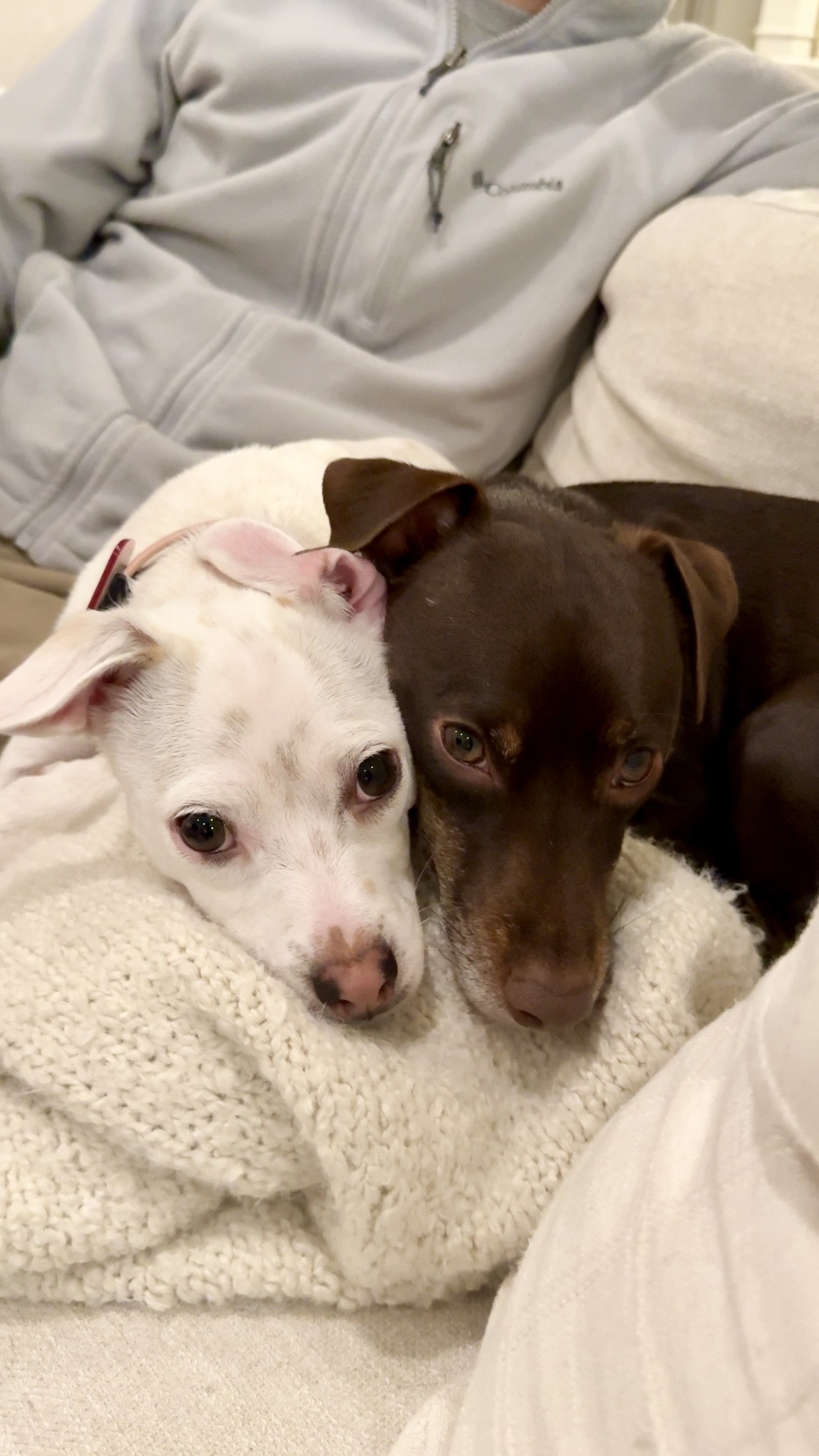 No description has been provided for this image